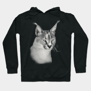 Caracal Close-Up African Wildlife Hoodie